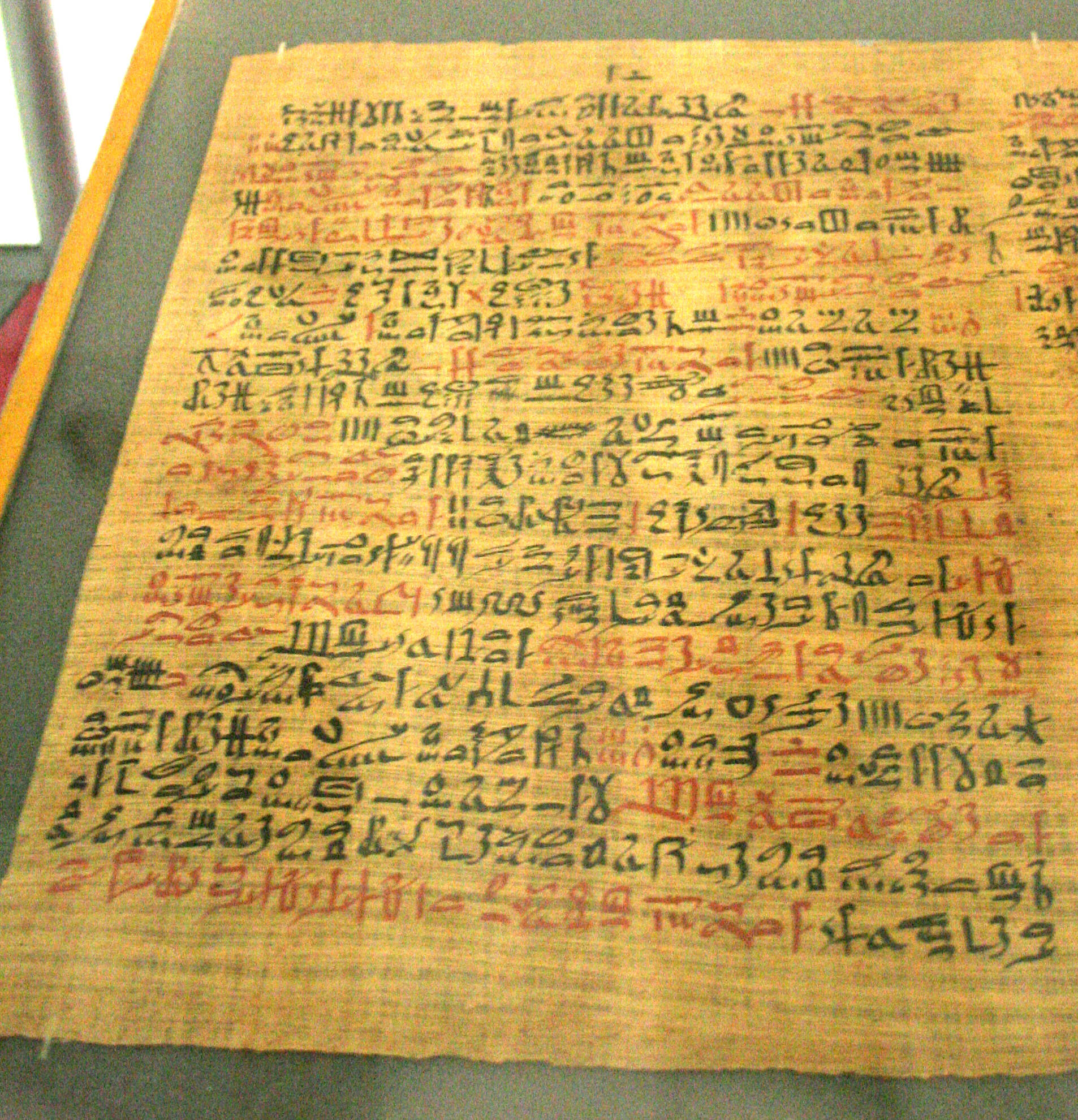 Foto des Papyrus Ebers DiabetesFacts.deDiabetesFacts.de